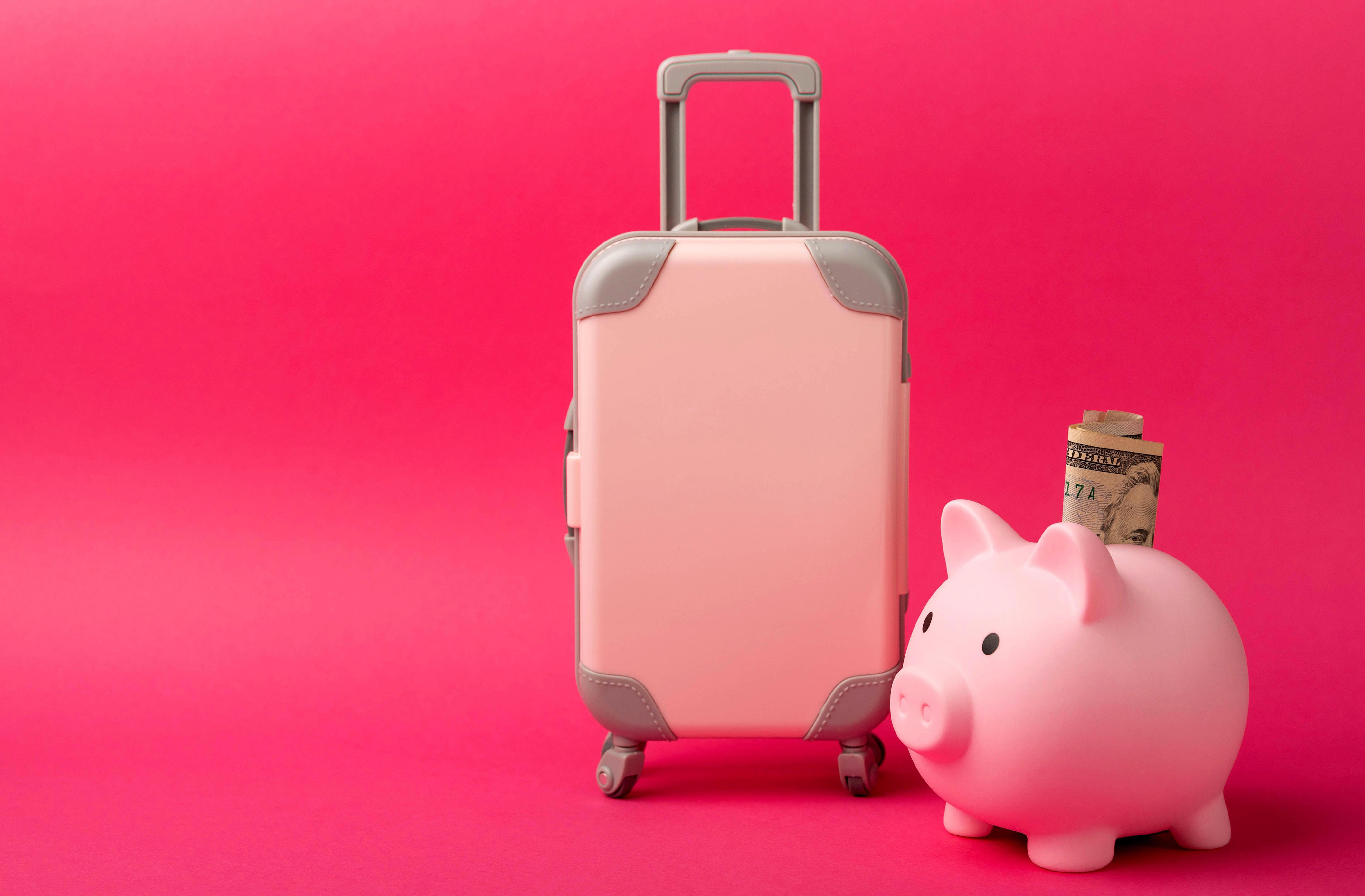 Piggy bank with dollars and a suitcase.