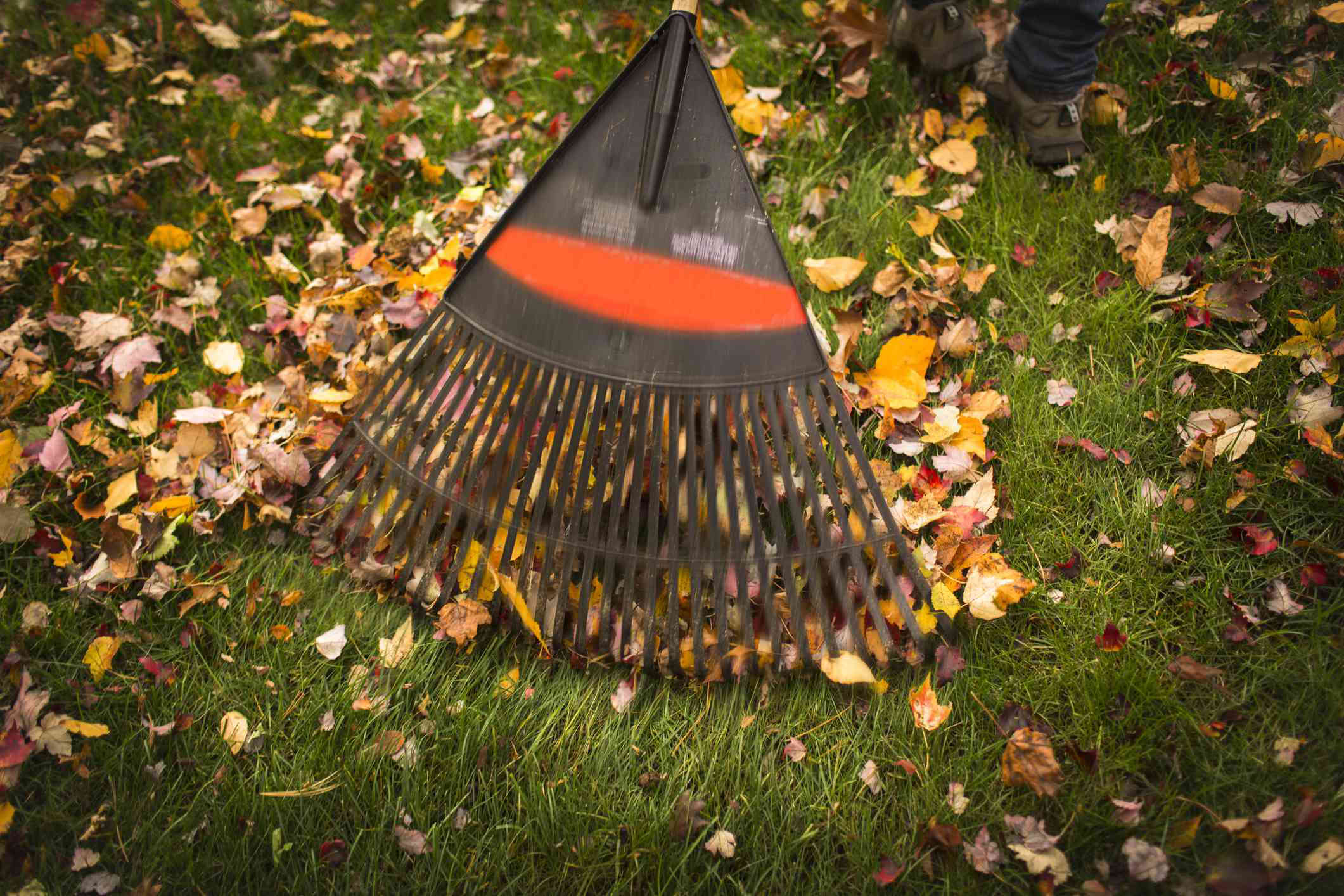 14 Different Types of Rakes and Uses for Each