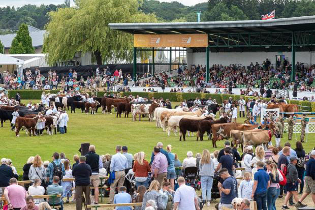 Have you got any plans to attend the Great Yorkshire show in July? (Image: Great Yorkshire Show)