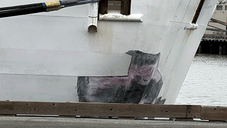 The hole in the Ruby Princess cruise ship was repaired Friday, July 7, 2023.