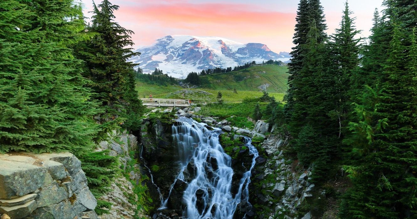 10 Things To Do In Mount Rainier National Park: Complete Guide To ...