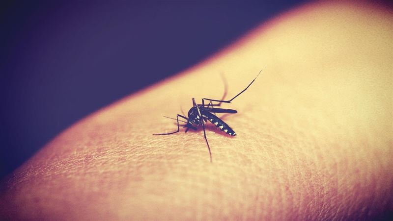 夏天討厭蚊子叮，但更討厭炎熱的天氣，兼顧防蚊又兼顧防曬、涼感的服飾終於成功研發。（示意圖／Pixabay）