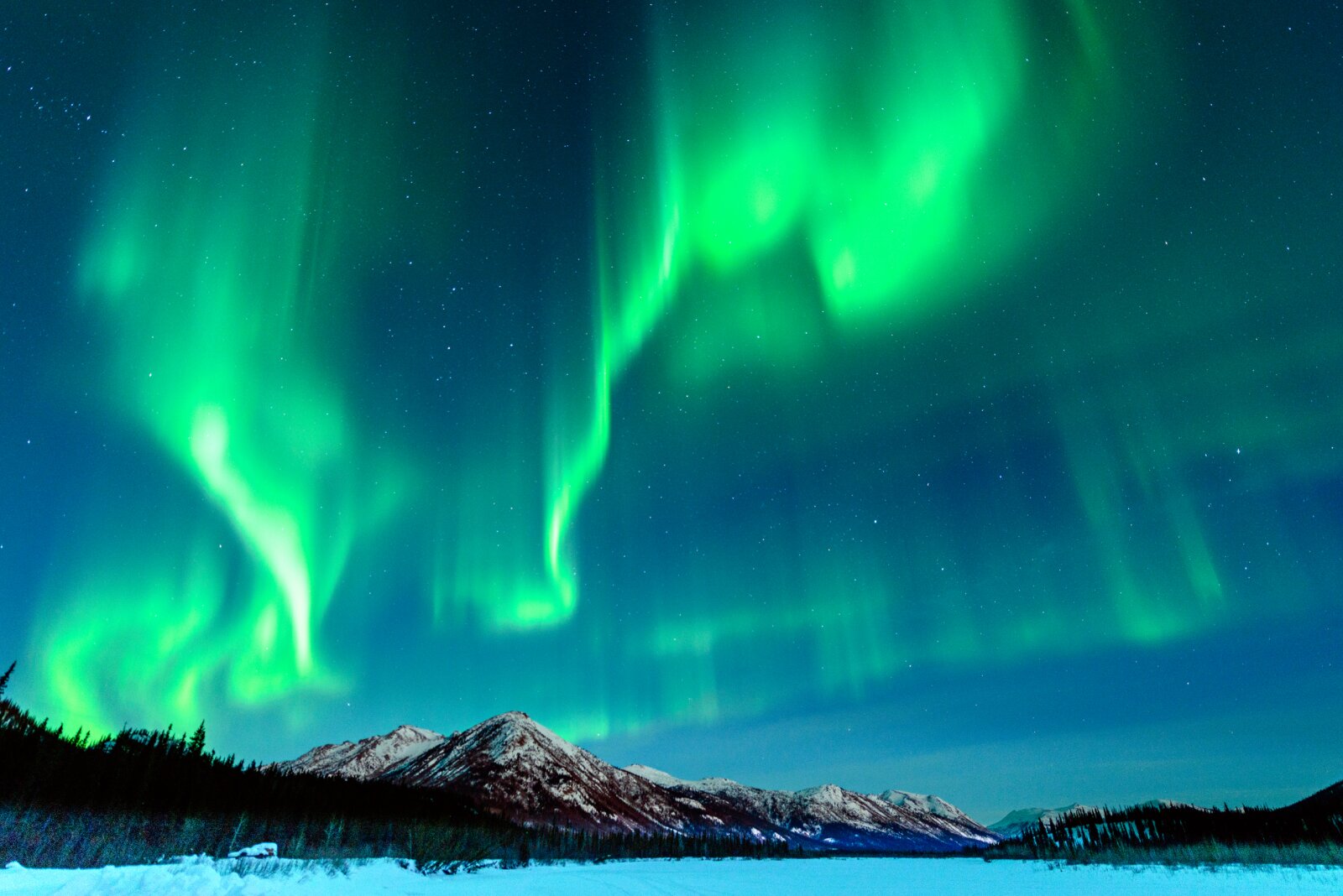 Alaska Northern Lights Tours 2024 Gussy Jennine