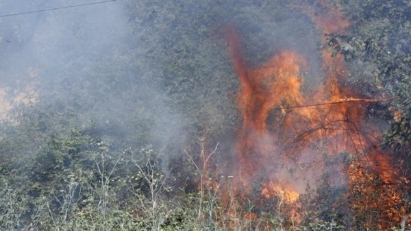 πυρκαγιά σε αγροτοδασικές εκτάσεις σε φθιώτιδα και βοιωτία