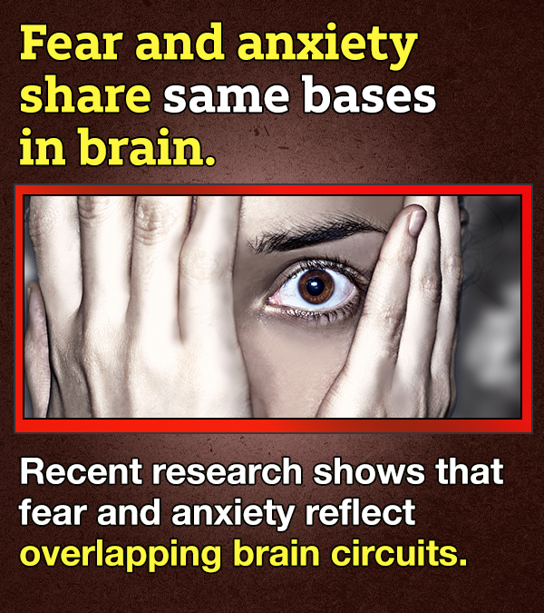 14 Facts About Fear That'll Have You Quaking In Your Boots