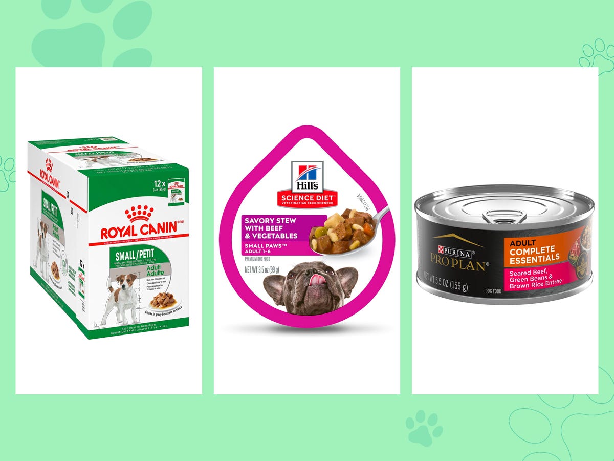 The best dog food for small dogs of 2024