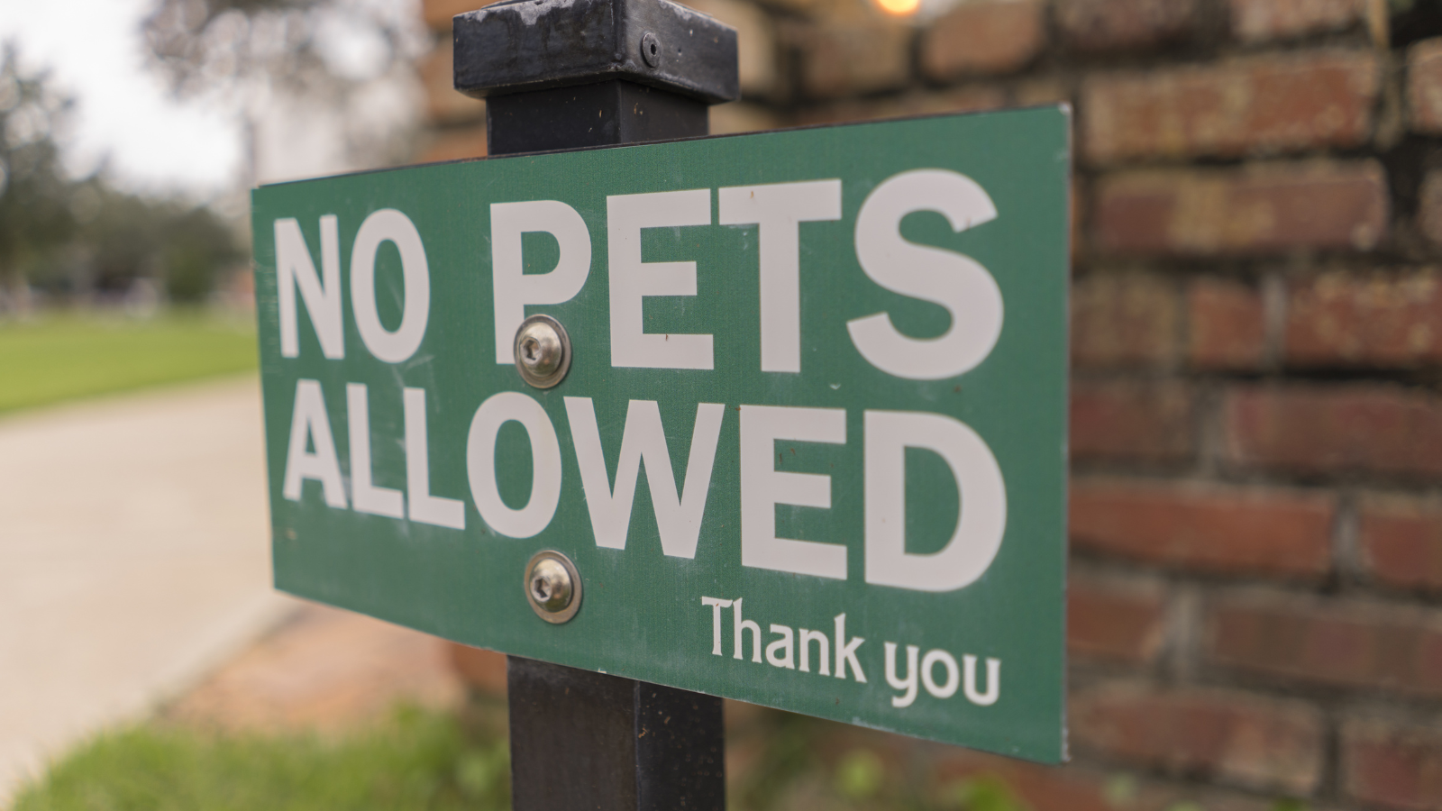 Pets allowed. No Pets allowed. Allowed картинки фото. Dogs are allowed.