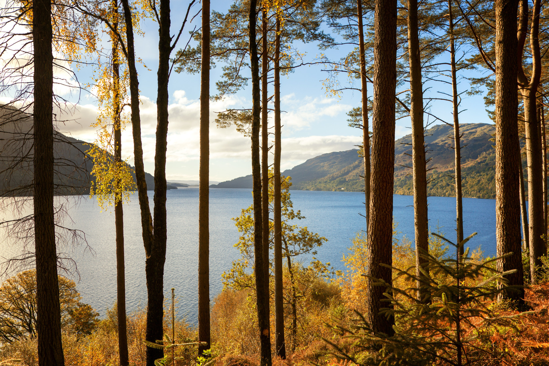 Known as the Road to the Isles, this route starts at the banks of Loch Lomond.<p><a href="https://www.msn.com/en-us/community/channel/vid-7xx8mnucu55yw63we9va2gwr7uihbxwc68fxqp25x6tg4ftibpra?cvid=94631541bc0f4f89bfd59158d696ad7e">Follow us and access great exclusive content every day</a></p>