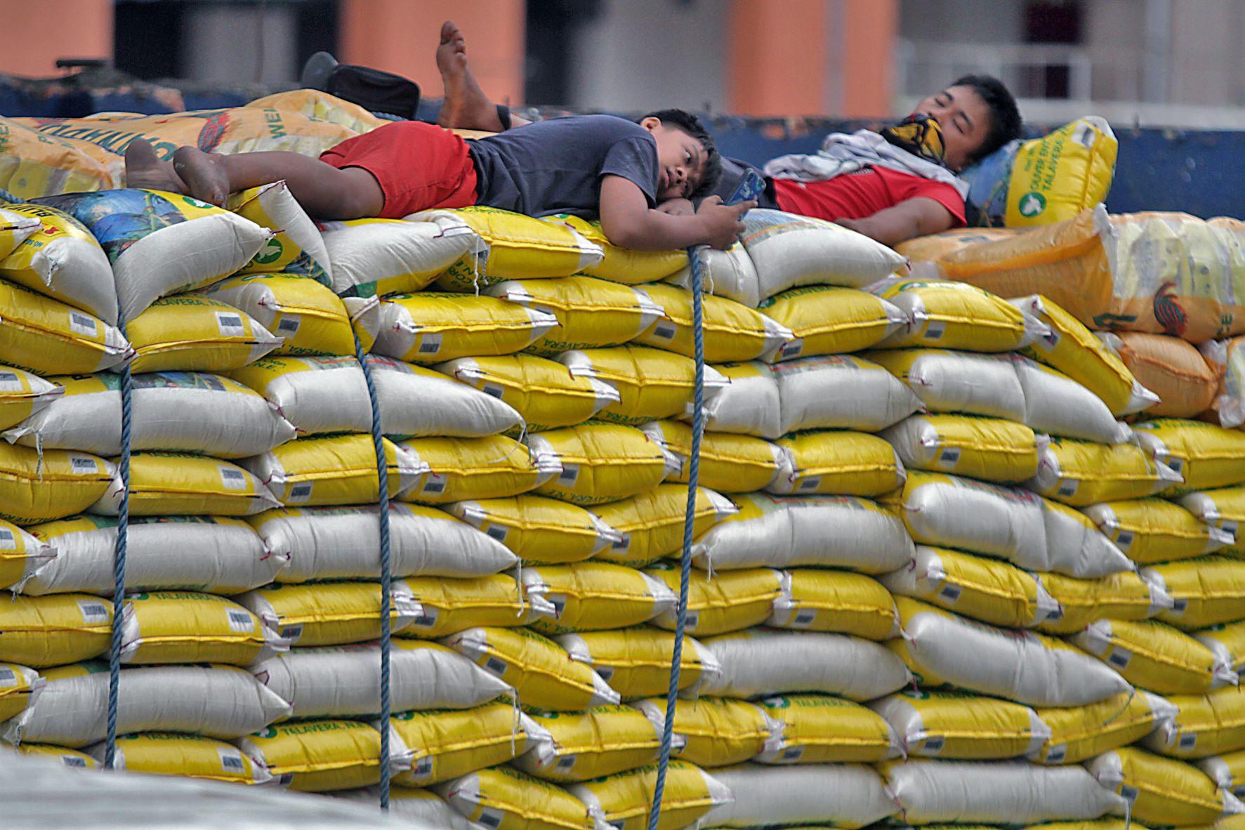 PH Seen To Import 3 9M Metric Tons Of Rice In 2024 USDA   AA1eCVXD.img