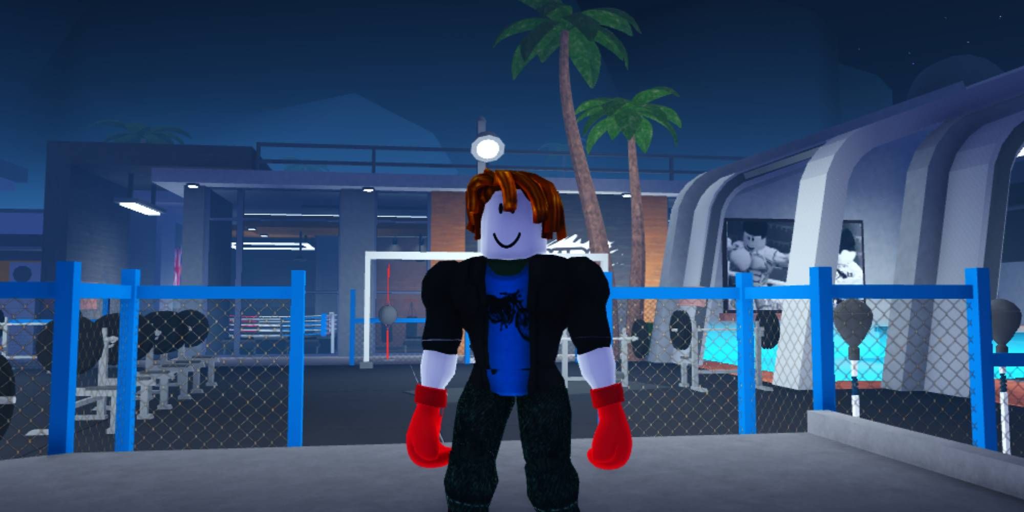 Boxing Beta Codes January 2024 Roblox   AA1eD6hN.img