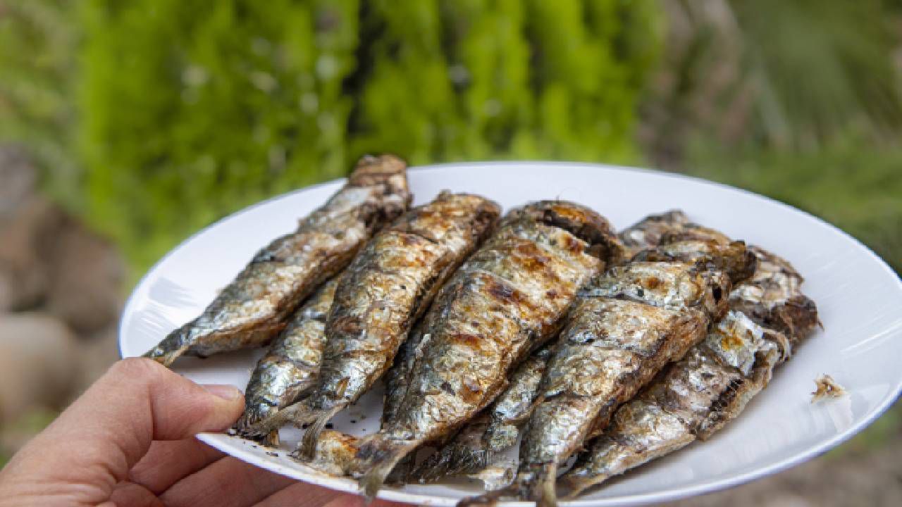 ¿es recomendable comer sardinas en lata? esto dice la ciencia