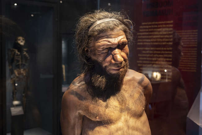 Verkouden worden door een oeroude Neanderthaler