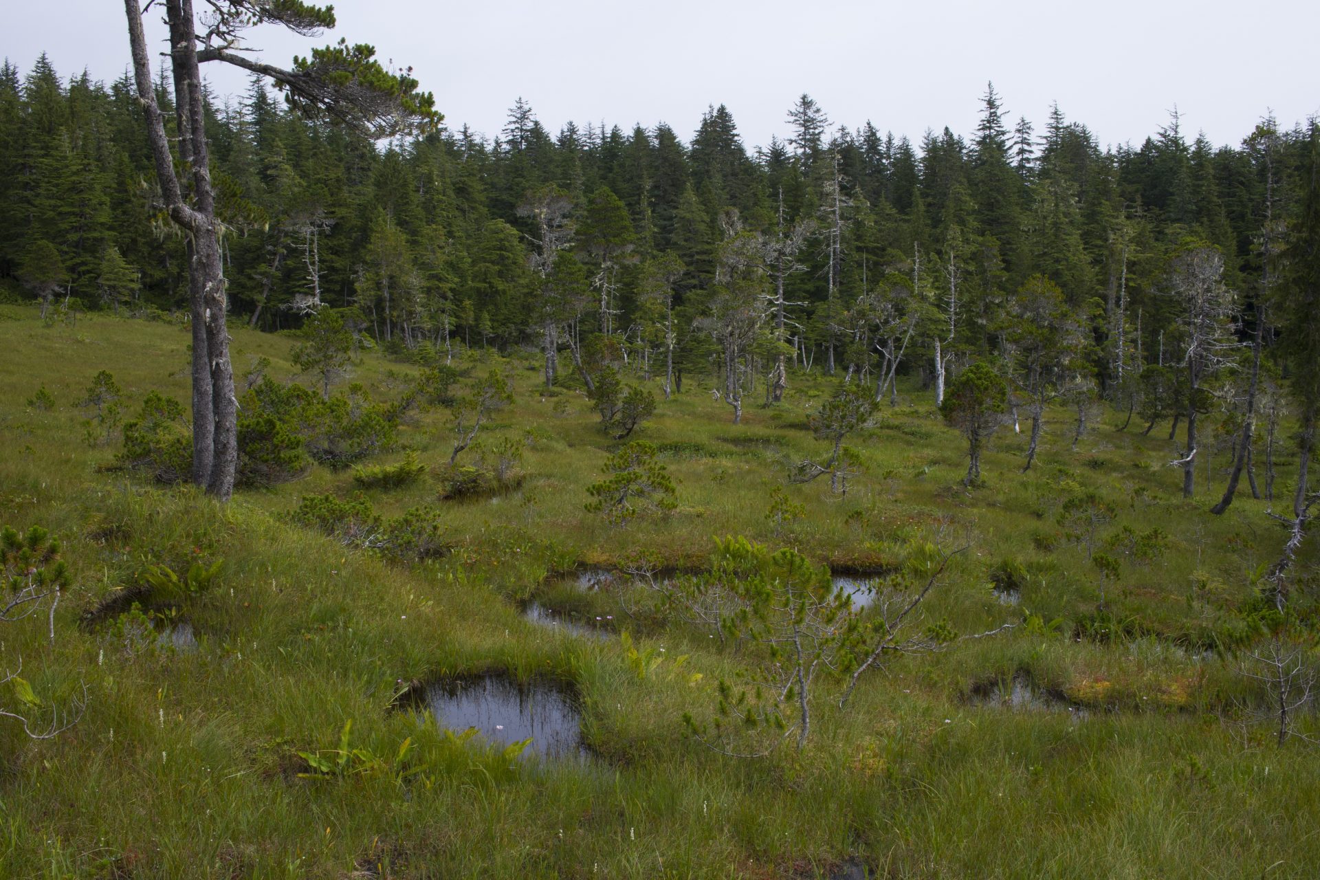 De smeltende permafrost laat gemeenten wegzakken
