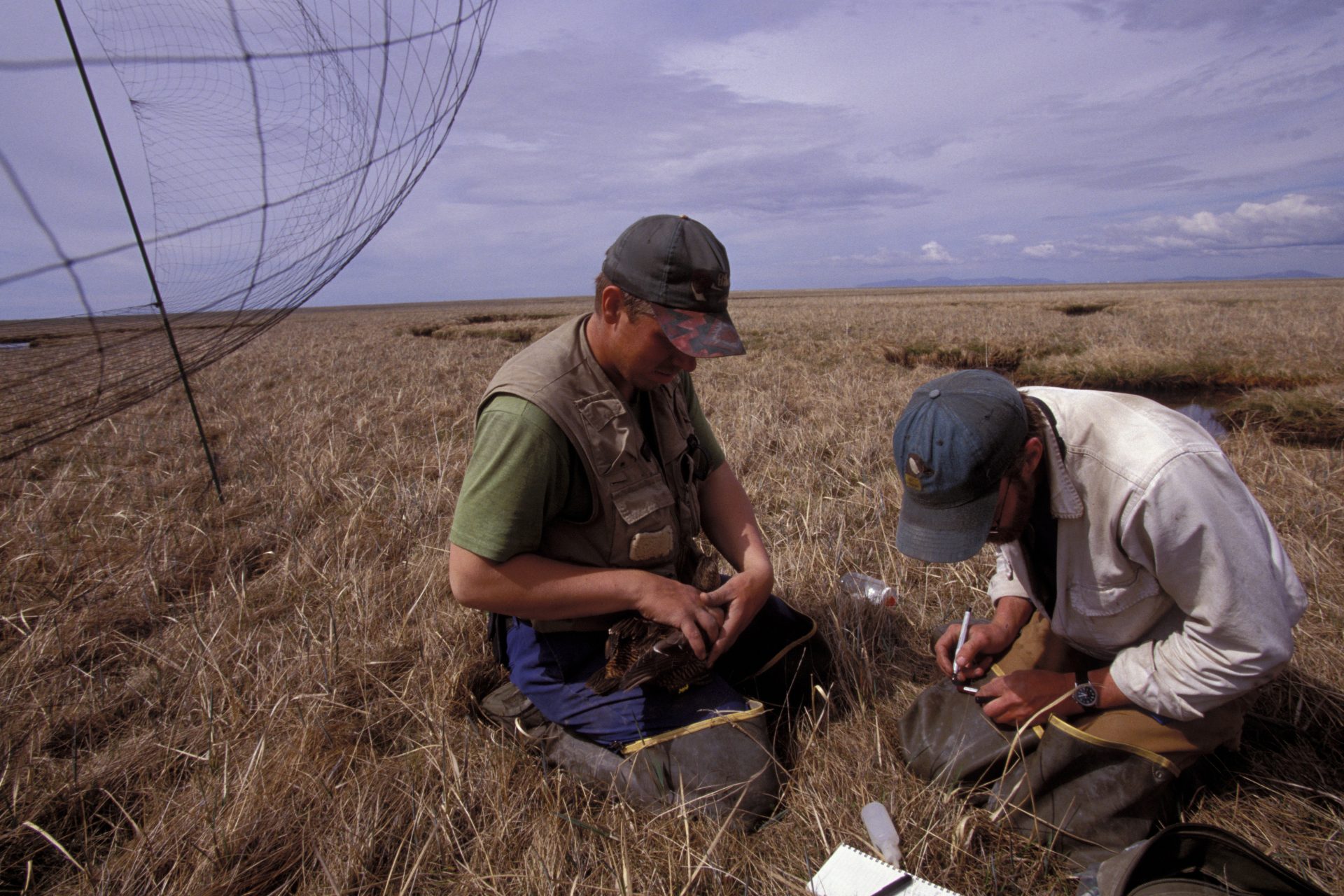 Het land wordt een onleefbaar moeras