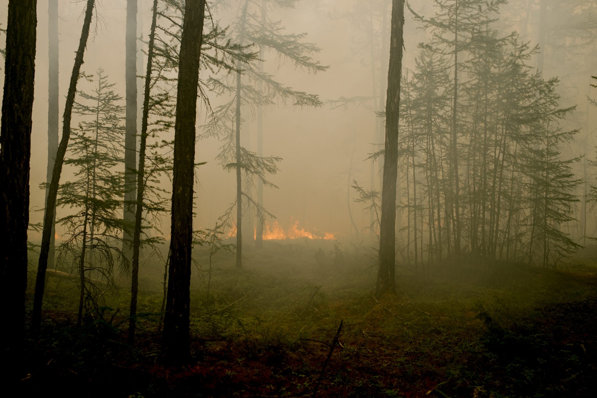 Permafrost beschermt ons tegen emissies en erger
