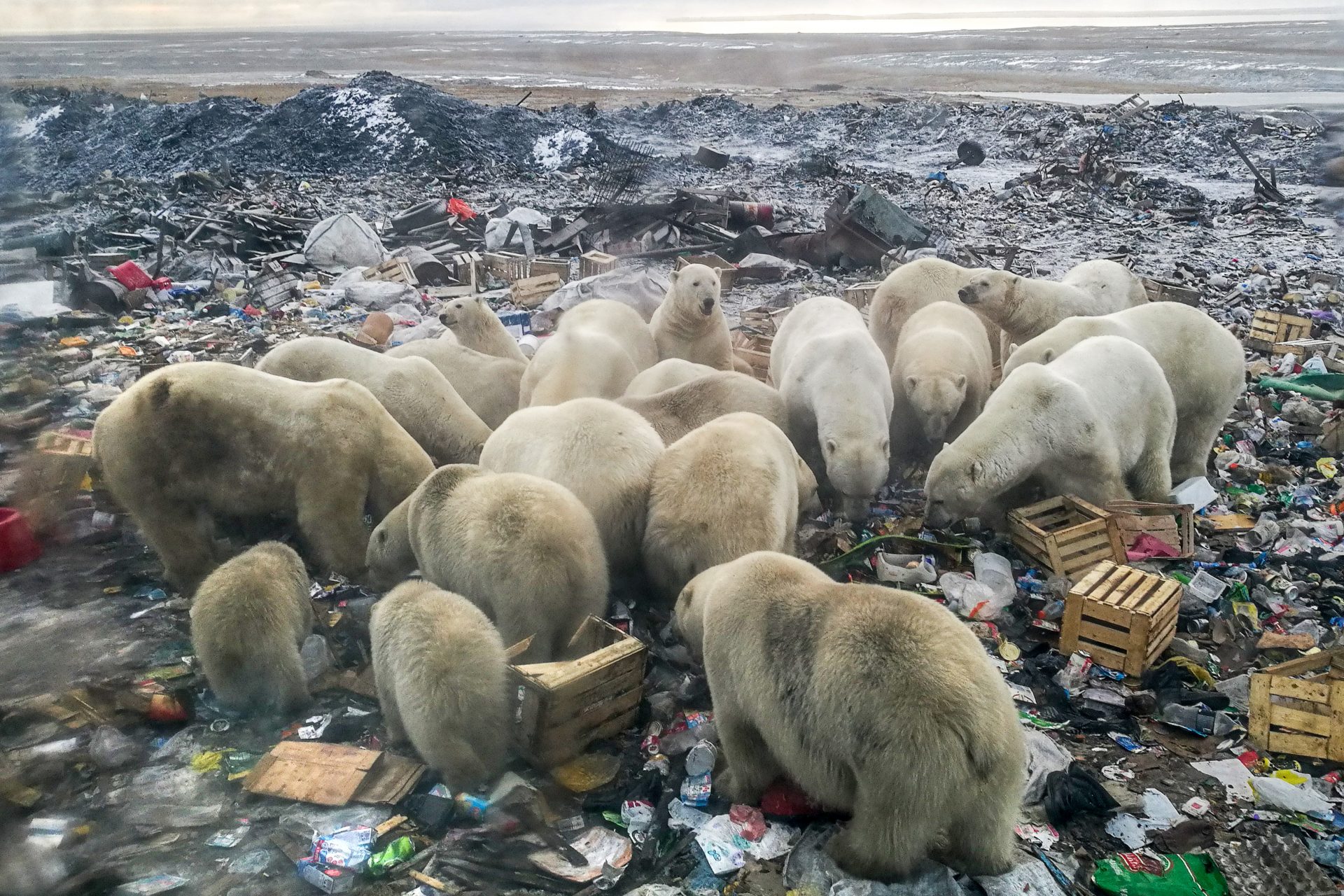 Smeltende permafrost is een groot probleem
