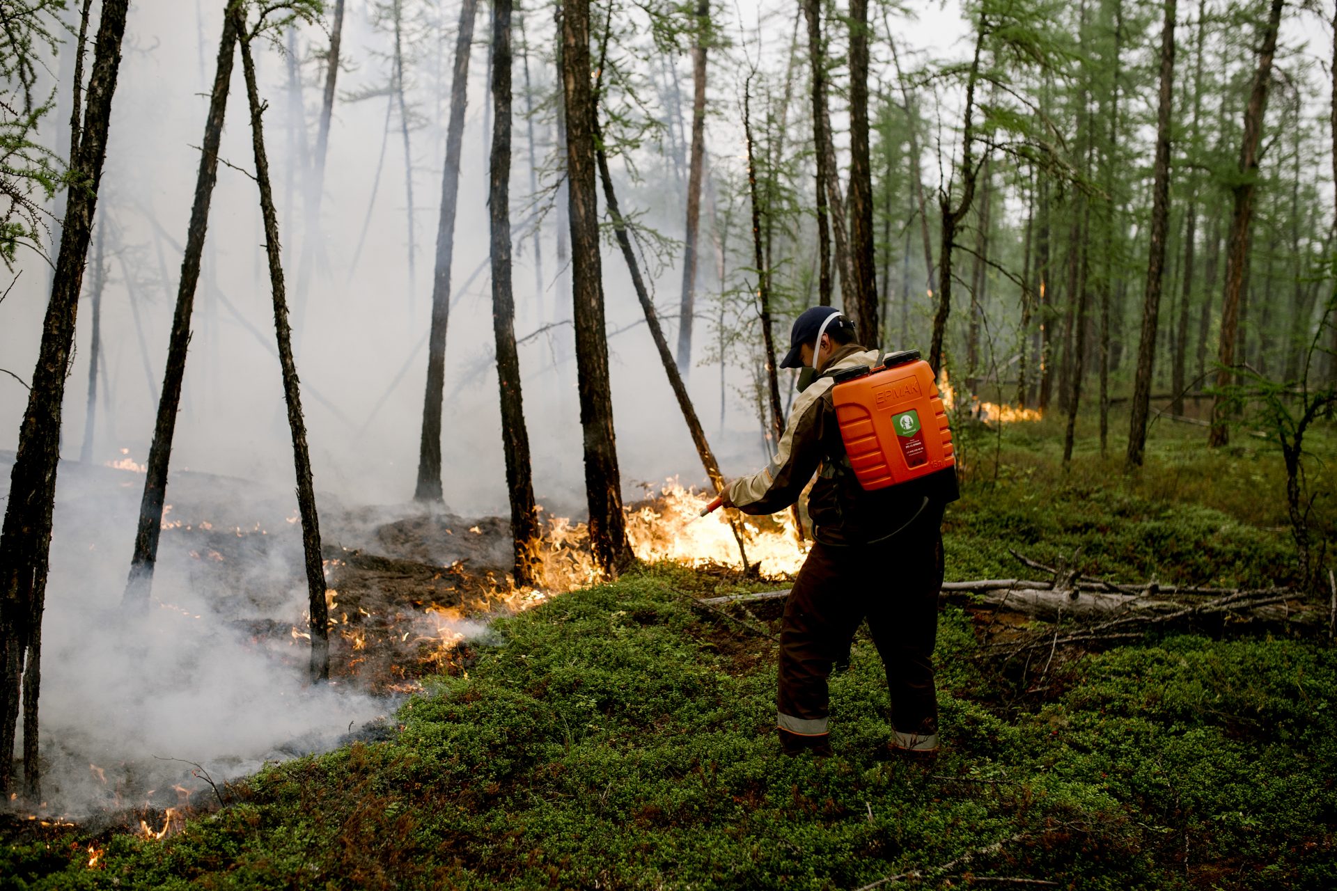 Zombiebranden verbranden de permafrost