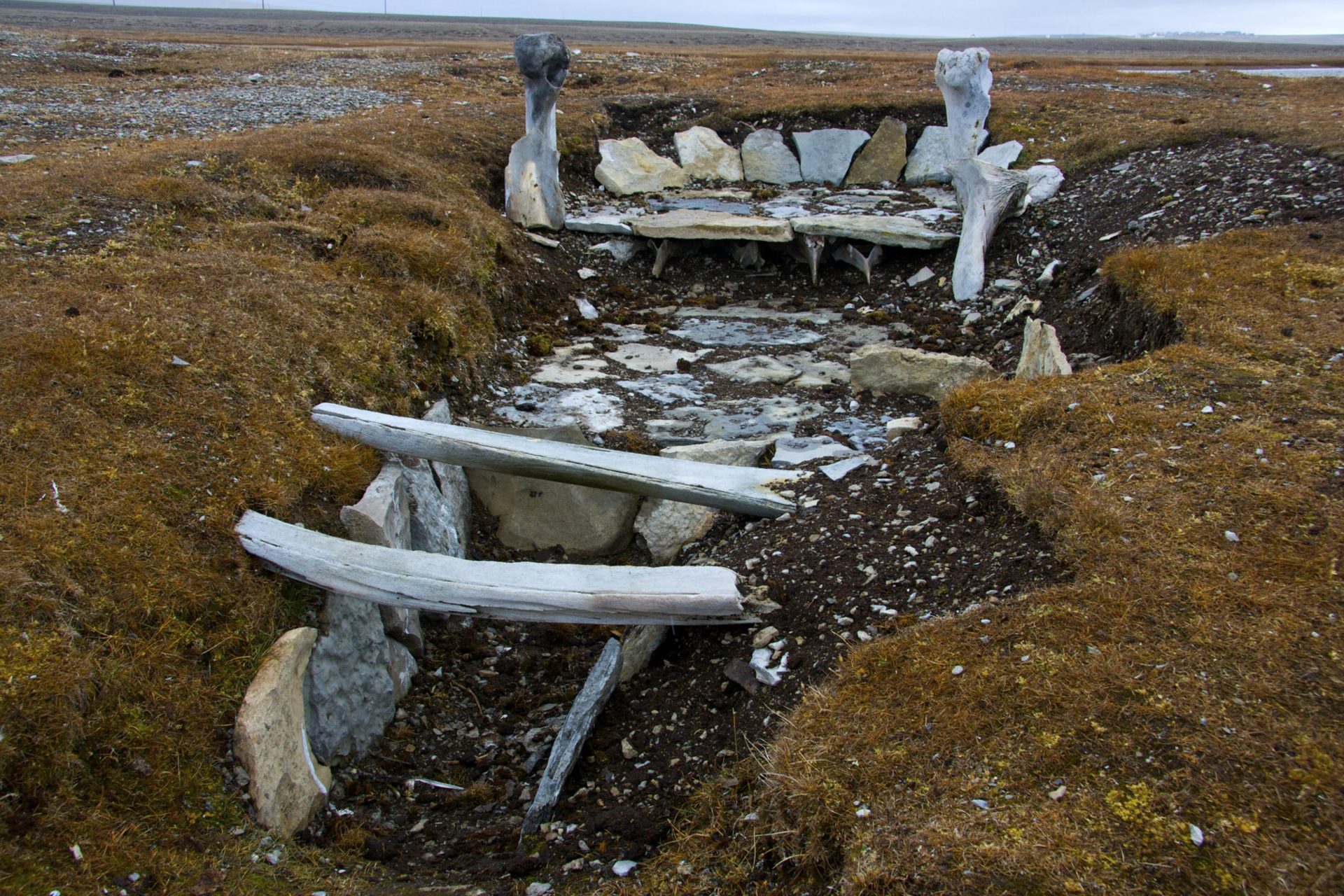 We zullen waarschijnlijk steeds meer oude ziekten zien