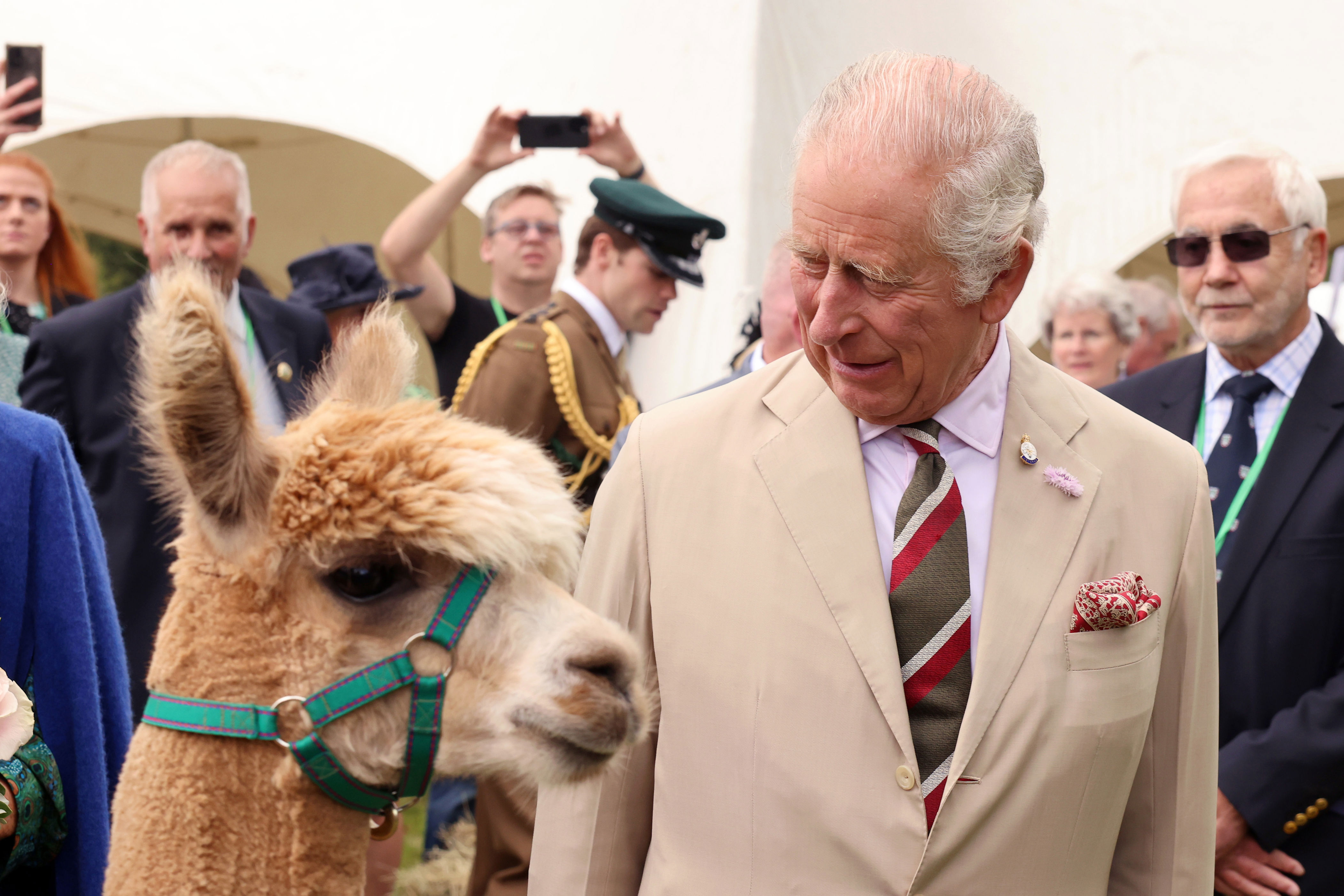 <p>King Charles III greeted an alpaca from Brecknock Agricultural Society's annual show in a field next to Theatr Brycheiniog -- Mid-Wales' principal space for theater, the arts and culture, featuring a 470-seat auditorium -- in Brecon, Wales, on July 20, 2023.</p>