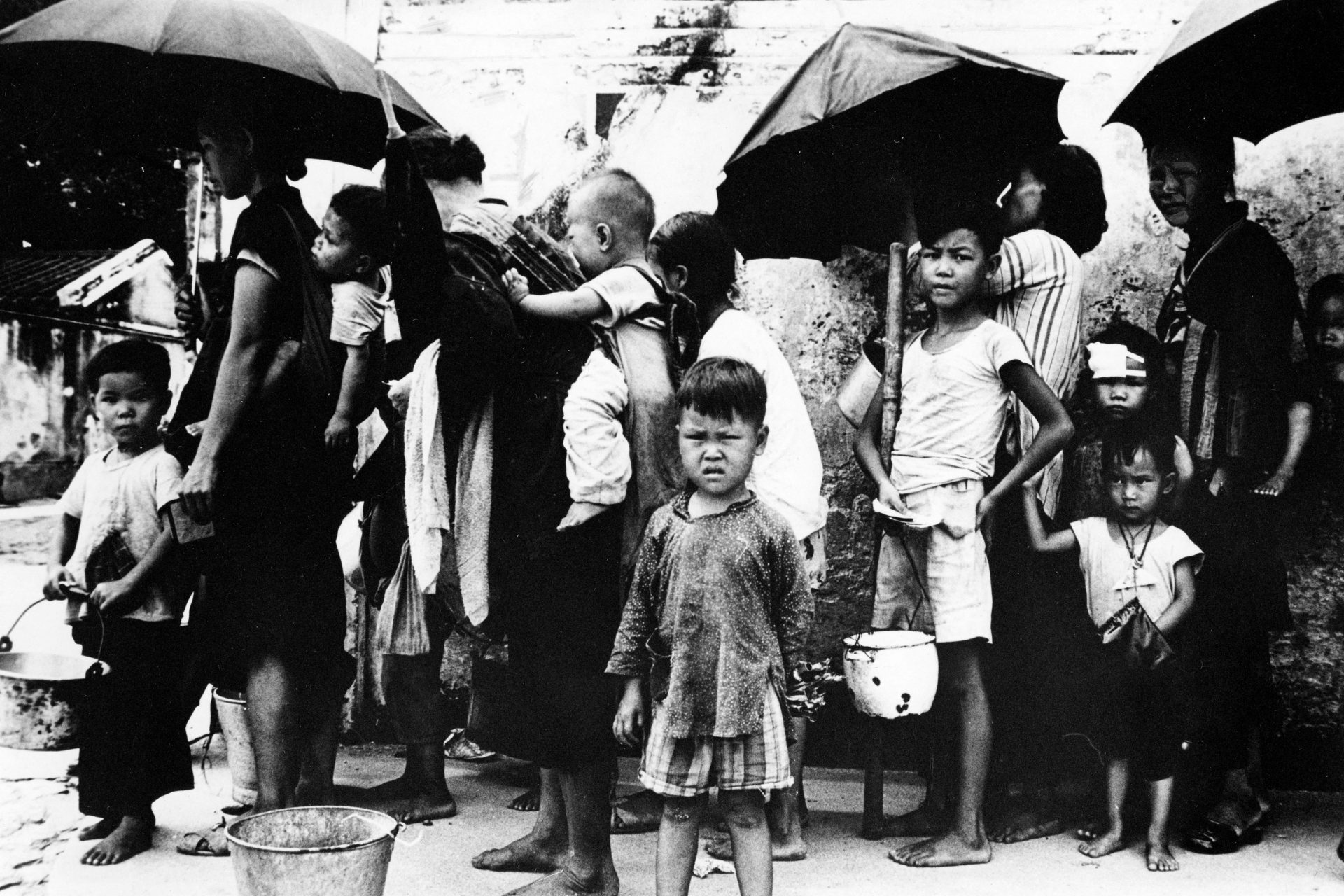 中国で行われたスズメの大量駆除、大飢饉をもたらし数千万人が犠牲に