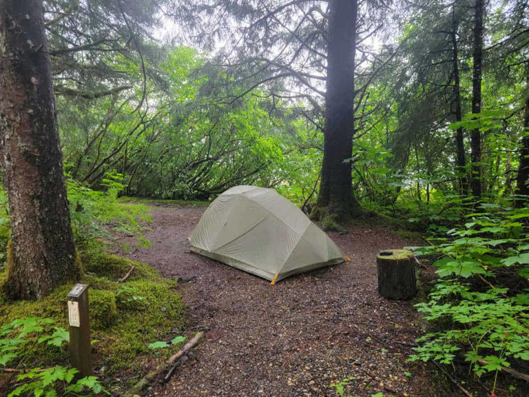 Bartlett Cove Campground - Glacier Bay National Park