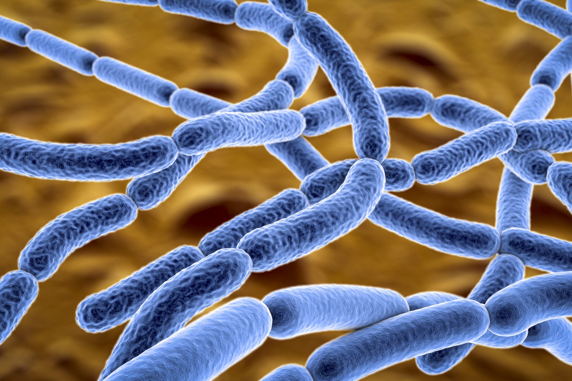 an-ancient-zombie-virus-from-siberian-permafrost-has-been-resurrected
