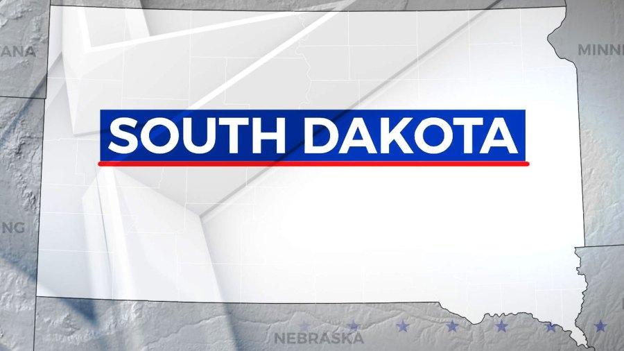 What ballot questions could South Dakotans vote on in 2024?