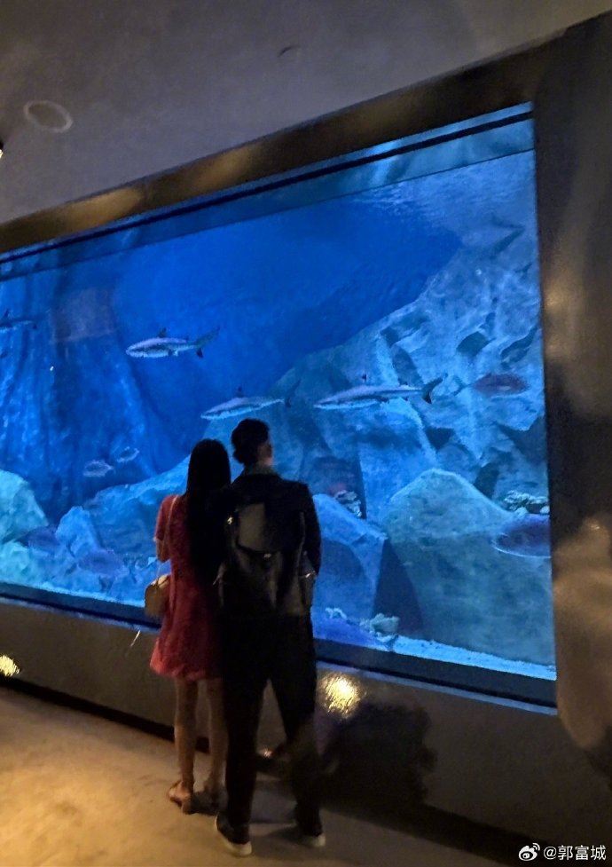 方媛與郭富城在水族館落地玻璃前一起比做愛心手勢。（圖／翻攝自郭富城微博）