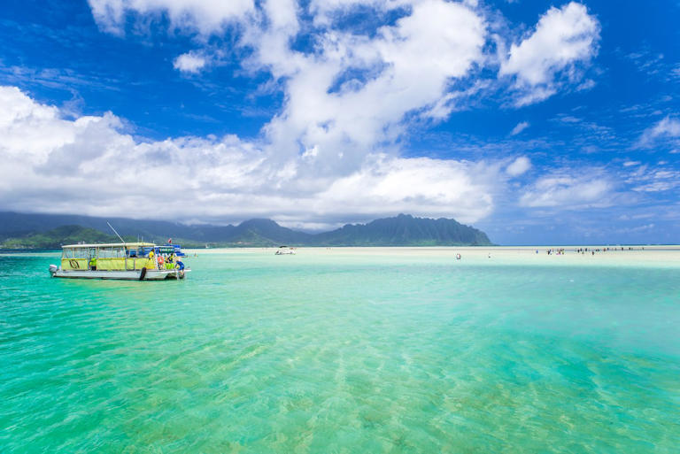 Are you planning a trip to Oahu and want to find a cool Oahu boat tour? Scroll to find out the best Oahu sandbar tour worth checking out on your next trip. This list of the best Oahu Sandbar tours in Kaneohe was written by Marcie Cheung (a Hawaii travel expert) and contains affiliate links ... Read more