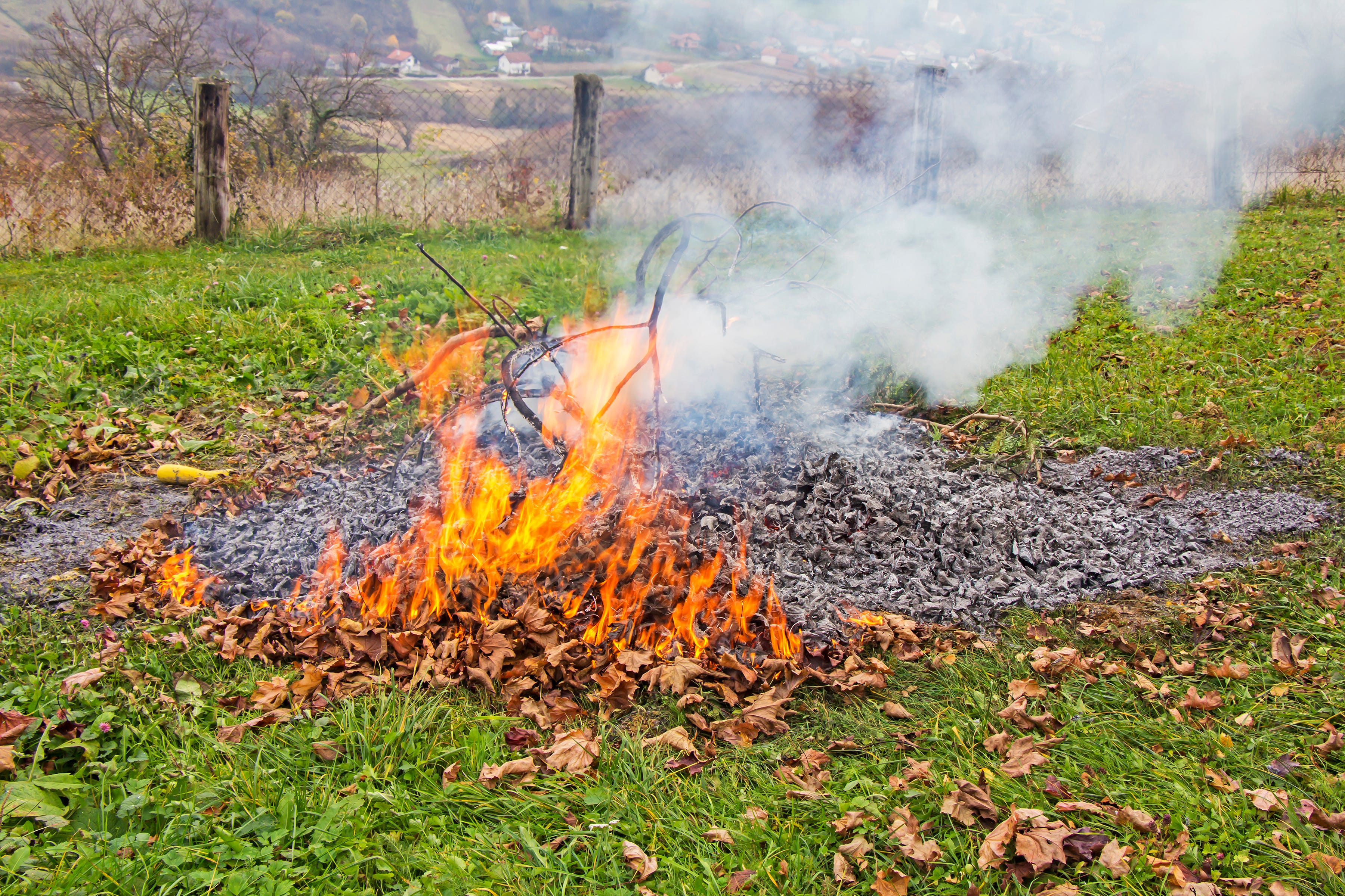 Можно ли сжигать траву на своем участке. Сжигание листвы. Сжигание травы на участке.
