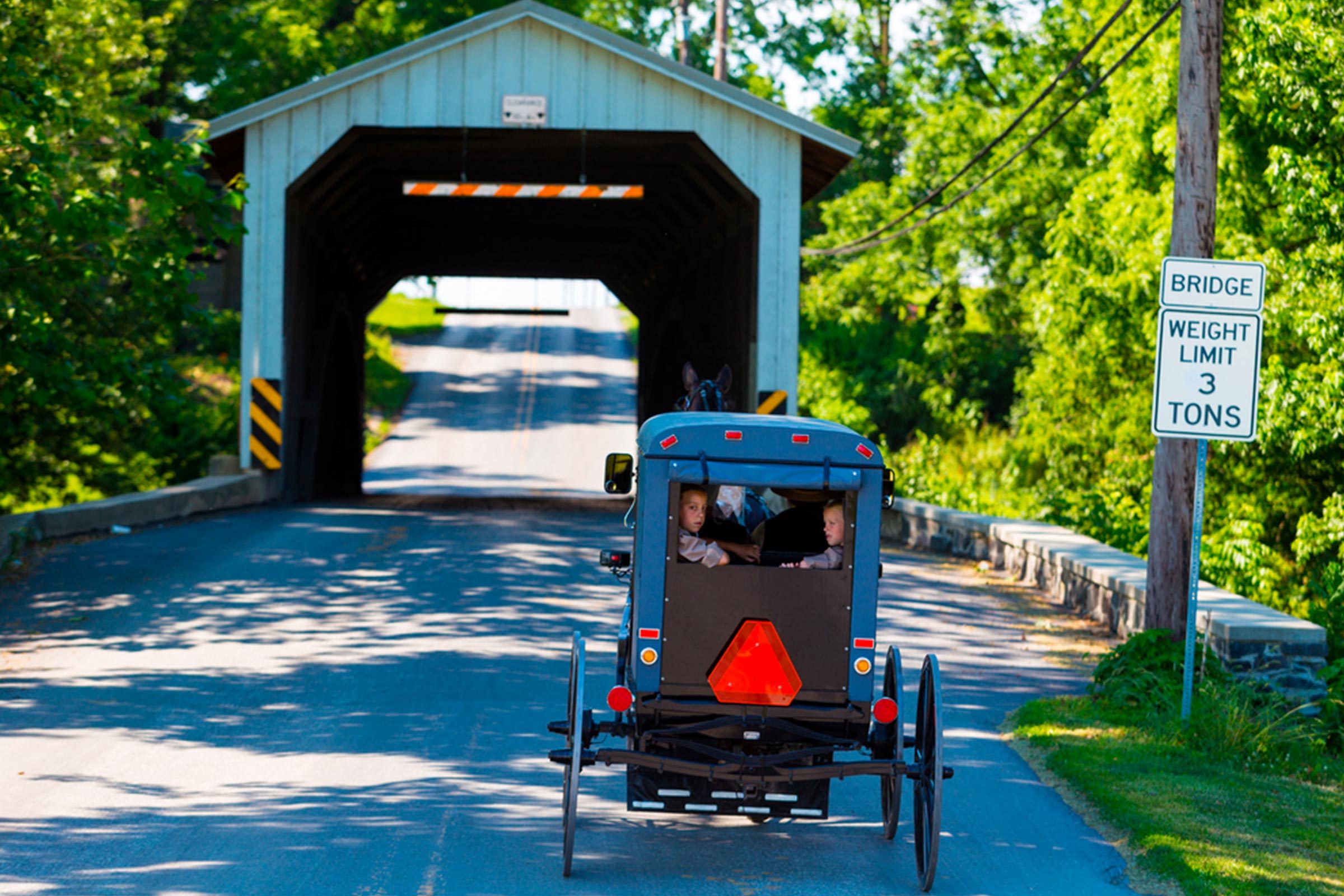 <p>The Pennsylvania Dutch Country refers to an area in the southeast part of the state that has traditionally been home to many Amish families. The Amish pursue a simpler way of life, and some families in and around <a href="https://www.tripadvisor.com/Tourism-g53403-Paradise_Lancaster_County_Pennsylvania-Vacations.html" rel="noopener">Paradise</a> open their doors to outsiders with bed-and-breakfasts and community and farm tours. Bear in mind, however, that most traditional Amish families eschew electricity and photography and don't welcome visitors into their homes. But the ones that do provide a wonderful, authentic-feeling experience and food like you've probably never tasted!</p> <p class="listicle-page__cta-button-shop"><a class="shop-btn" href="https://www.tripadvisor.com/Tourism-g53403-Paradise_Lancaster_County_Pennsylvania-Vacations.html">Learn More</a></p>