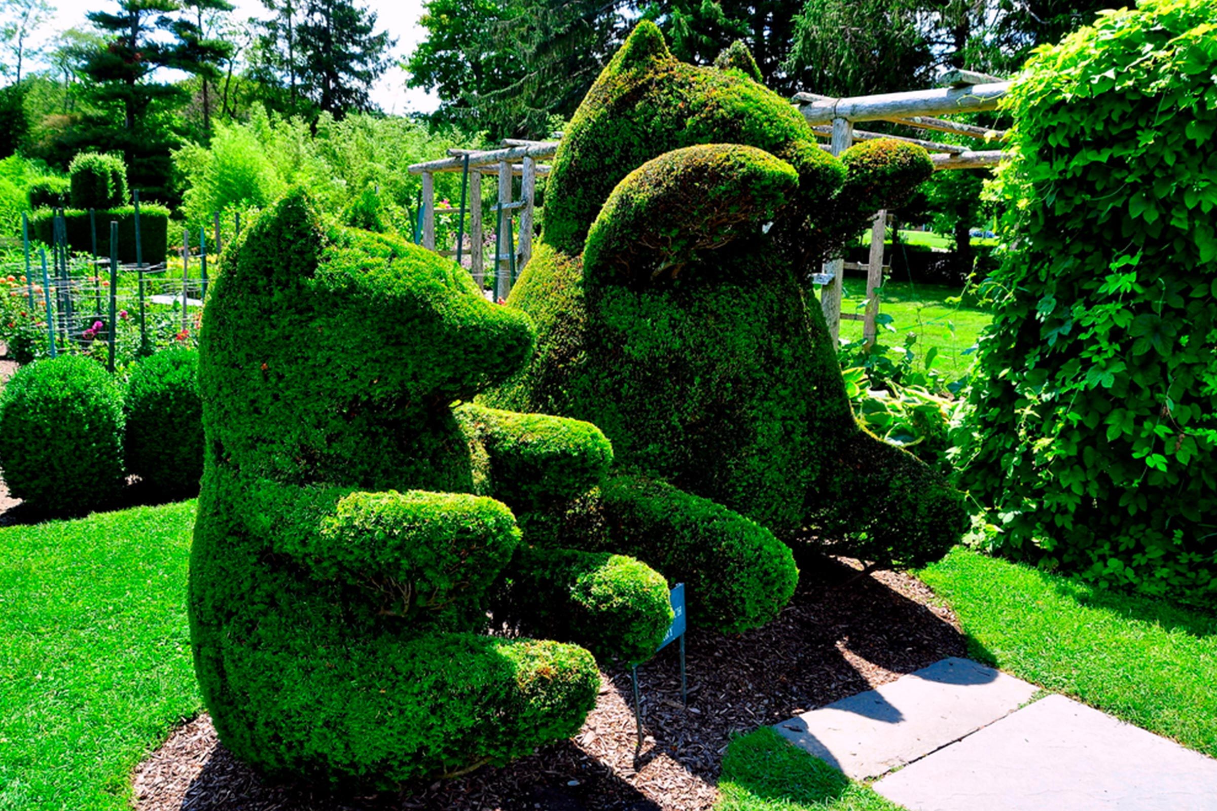 <p>All the animals in this seven-acre park are carved out of trees. The <a href="https://www.tripadvisor.com/Attraction_Review-g54105-d267888-Reviews-Green_Animals_Topiary_Garden-Portsmouth_Rhode_Island.html" rel="noopener">Green Animals Topiary Garden</a> is the oldest and northernmost topiary garden in the nation, and it's worth a detour if you're visiting the Newport Mansions.</p> <p class="listicle-page__cta-button-shop"><a class="shop-btn" href="https://www.tripadvisor.com/Attraction_Review-g54105-d267888-Reviews-Green_Animals_Topiary_Garden-Portsmouth_Rhode_Island.html">Learn More</a></p>