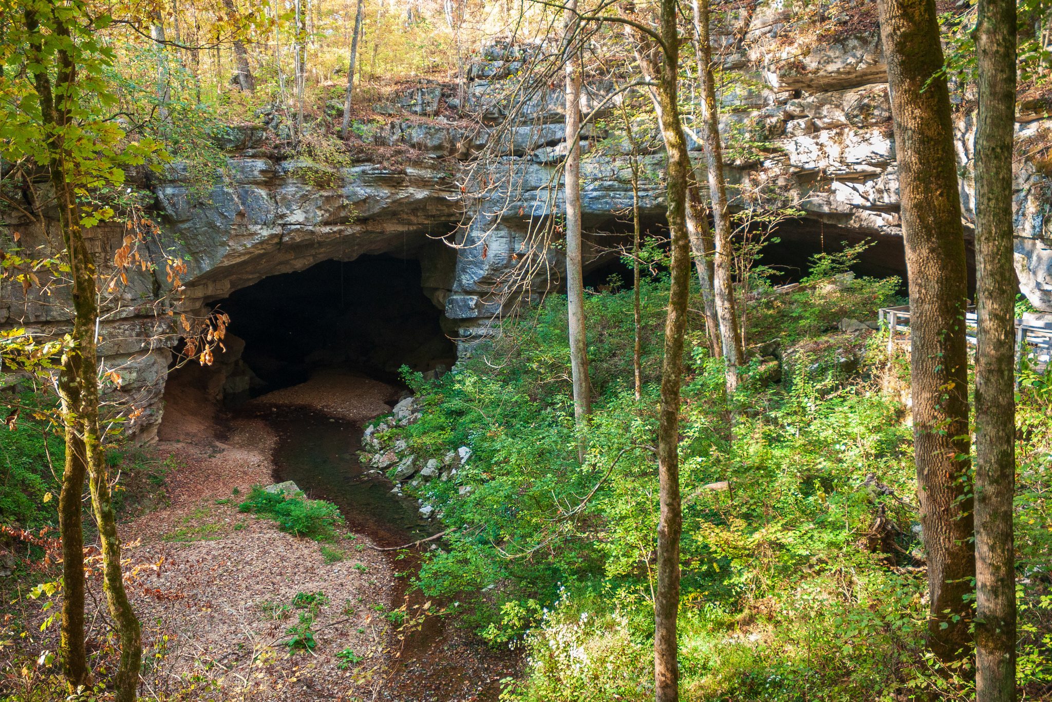 <p>This <a href="https://www.tripadvisor.com/Attraction_Review-g60948-d1453747-Reviews-Russell_Cave_National_Monument-Bridgeport_Alabama.html" rel="noopener">archeological site</a> sheltered prehistoric people thousands of years ago. The ballroom-size cavern is also one of the oldest sites of human habitation in North America, according to the National Park Service. Visitors can experience this hidden gem via boardwalk, and they can view a display of weapons and other tools found at the site in a small museum. It is open daily except for major winter holidays. Want to stay nearby? Learn the <a href="https://www.rd.com/article/best-day-to-book-hotel-room/" rel="noopener">best time to book a hotel</a> for great deals.</p> <p class="listicle-page__cta-button-shop"><a class="shop-btn" href="https://www.tripadvisor.com/Attraction_Review-g60948-d1453747-Reviews-Russell_Cave_National_Monument-Bridgeport_Alabama.html">Learn More</a></p>