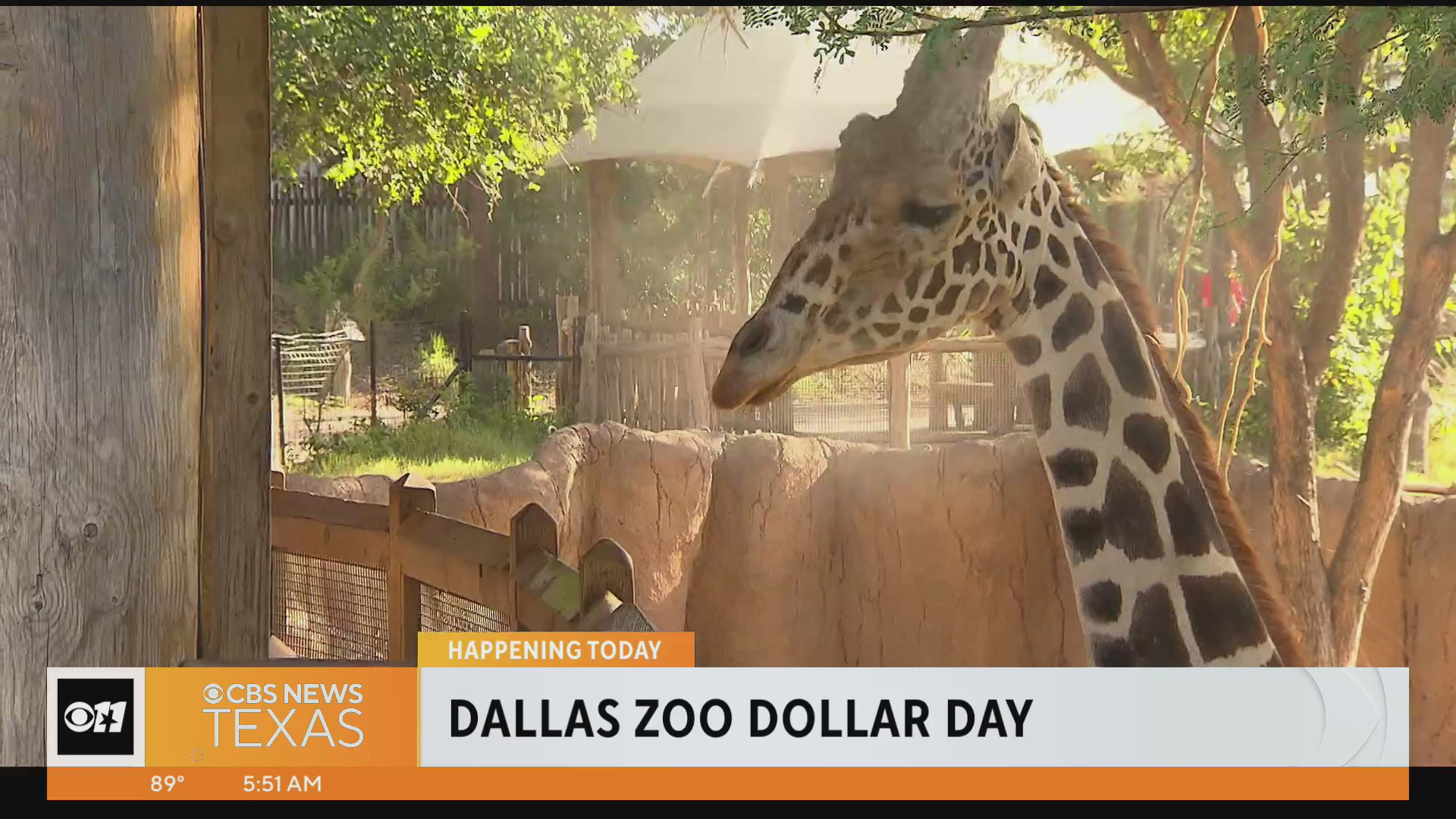 Dollar Days are back at the Dallas Zoo!