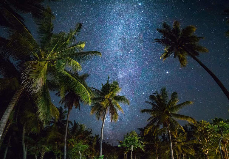 Are you wanting to do a stargazing session in Hawaii? Get all your questions answered. Plus, find out some of the best places to go stargazing in Hawaii! This list of the best places to go stargazing in Hawaii was written by Marcie Cheung (a Hawaii travel expert) and contains affiliate links which means if ... Read more