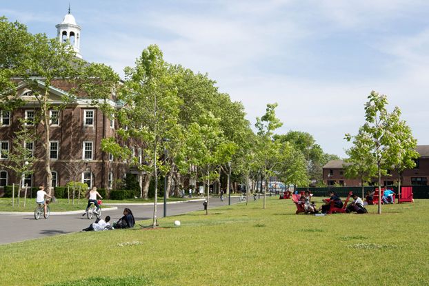 <p><strong>Location: </strong>A five-minute ferry ride away from the bottom of Manhattan</p><p>"Governors Island is the best picnic spot ever!" raved a Good Housekeeping staffer who has a 7-year-old. You can also rent bikes, climb a huge man-made hill, swing in a hammock grove or play on gigantic slides. In the winter, <a href="https://go.redirectingat.com?id=74968X1553576&url=https%3A%2F%2Fwww.tripadvisor.com%2FAttraction_Review-g60763-d12903277-Reviews-Governors_Island-New_York_City_New_York.html&sref=https%3A%2F%2Fwww.goodhousekeeping.com%2Flife%2Ftravel%2Fg44504955%2Fthings-to-do-in-nyc%2F">Governors Island</a> also offers ice skating. </p>