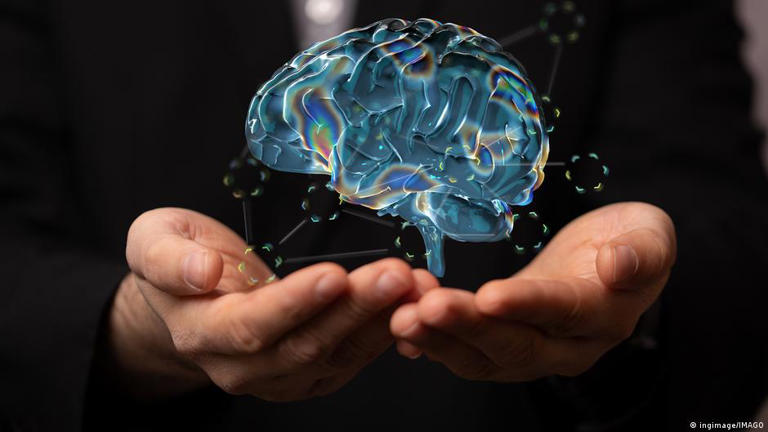 Cambios en el estilo de vida podrían repercutir en un "rejuvenecimiento molecular del cerebro".