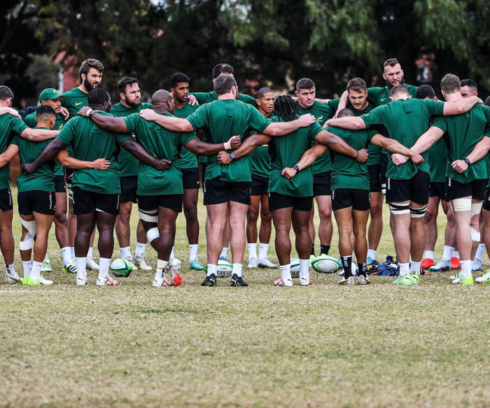 springboks: three out! lengthy ban and two injuries – update