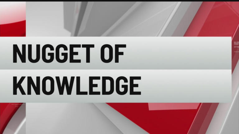 Nugget of Knowledge: Skunk stink solutions