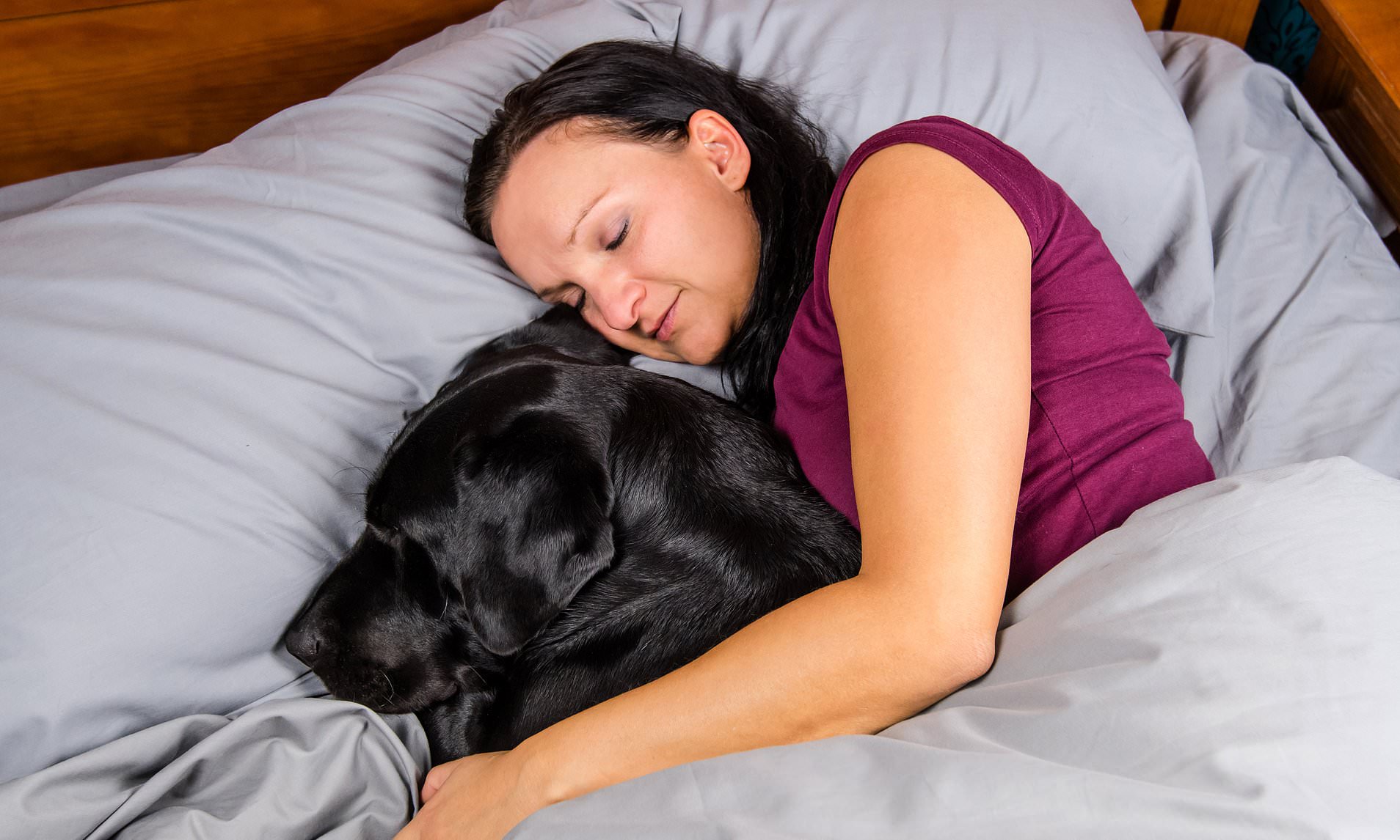 Собаки вместе спят. Собака в кровати с хозяином. Женщина с собакой в постели.