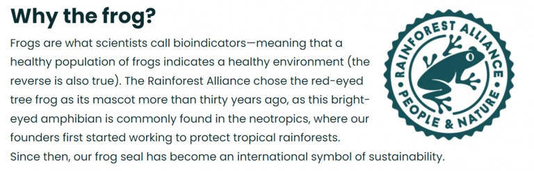 Zrzut ekranu ze strony Rainforest Alliance, wykonany 18 lipca 2023 roku