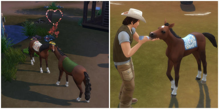 The Sims 4: Horse Ranch - How to Get a Foal