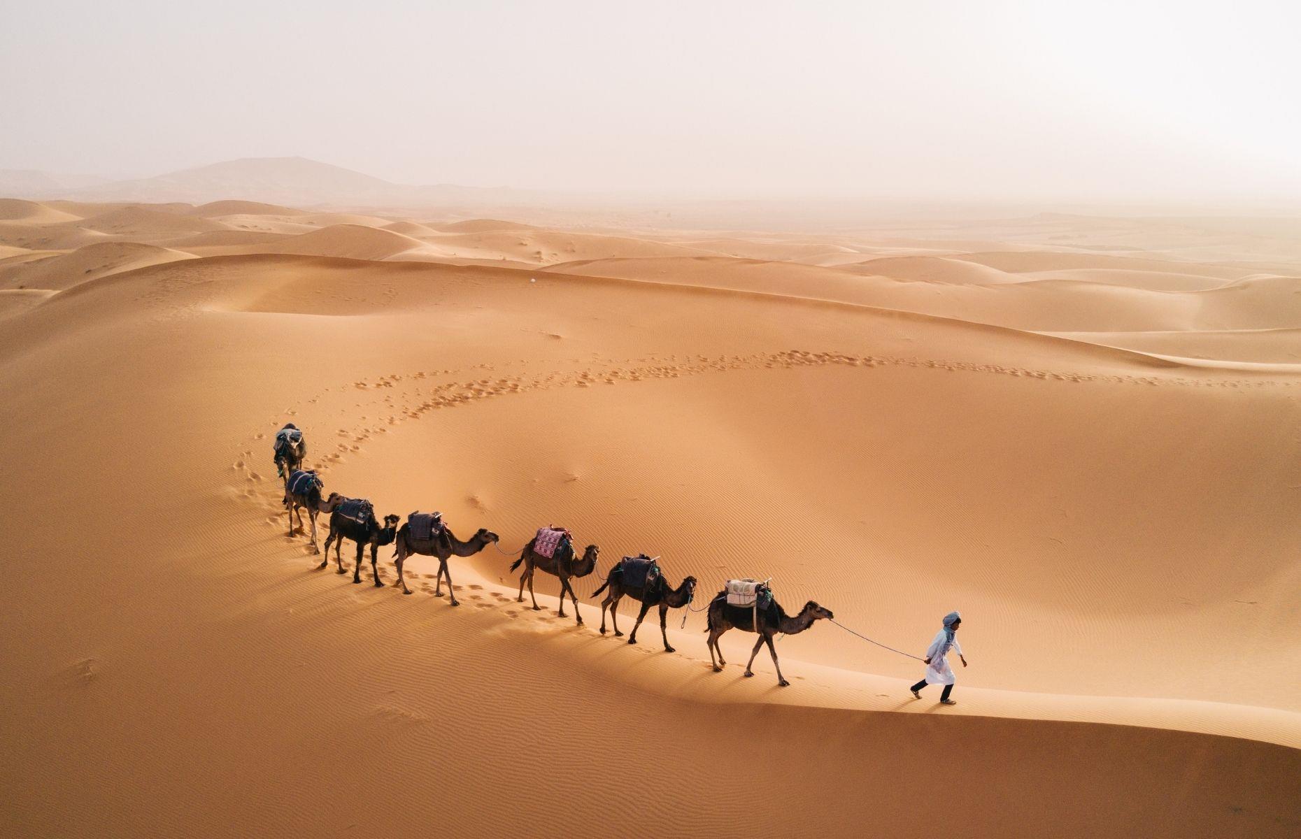 <p>Spanning 3.5 million square miles (9 million sq km), with temperatures reaching as high as 47°C (117°F), the Sahara Desert is one of the most inhospitable places in the world. Yet the Tuareg nomadic tribe thrive here, and have done since the 4th century. Until the mid-20th century, Tuareg people made a living through trade and were responsible for moving goods across the great desert. Yet, due to modern transport and political conflict, this way of life has slowly changed.</p>  <p><strong><a href="https://www.loveexploring.com/galleries/101150/the-worlds-most-wonderful-wildernesses">Discover jaw-dropping wildernesses around the globe</a></strong></p>