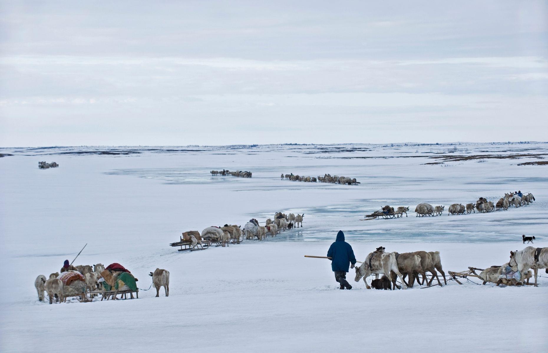 <p>Imagine spending your days in a climate that can drop to as low as −50°C (−58°F). Well, for thousands of years the Nenets have travelled across unimaginable landscapes in search of grazing grounds. But now their way of life is under threat, due in part to the climate crisis and the discovery of oil.</p>