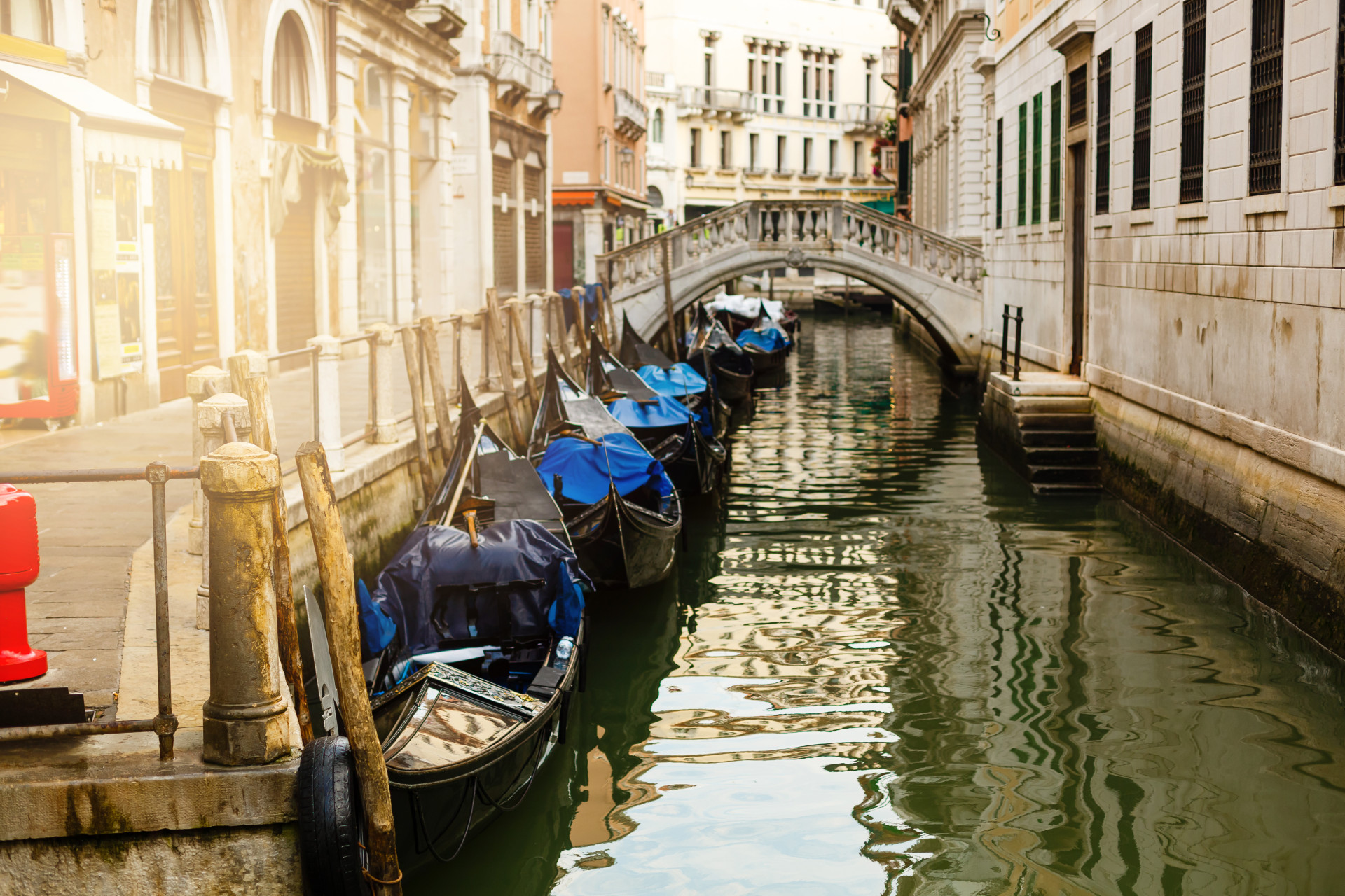 Итальянский сток. Венеция 2024 год. Венеция 2024. Венеция Италия площадь Святого марка гондолы. Дельфины в Венеции.