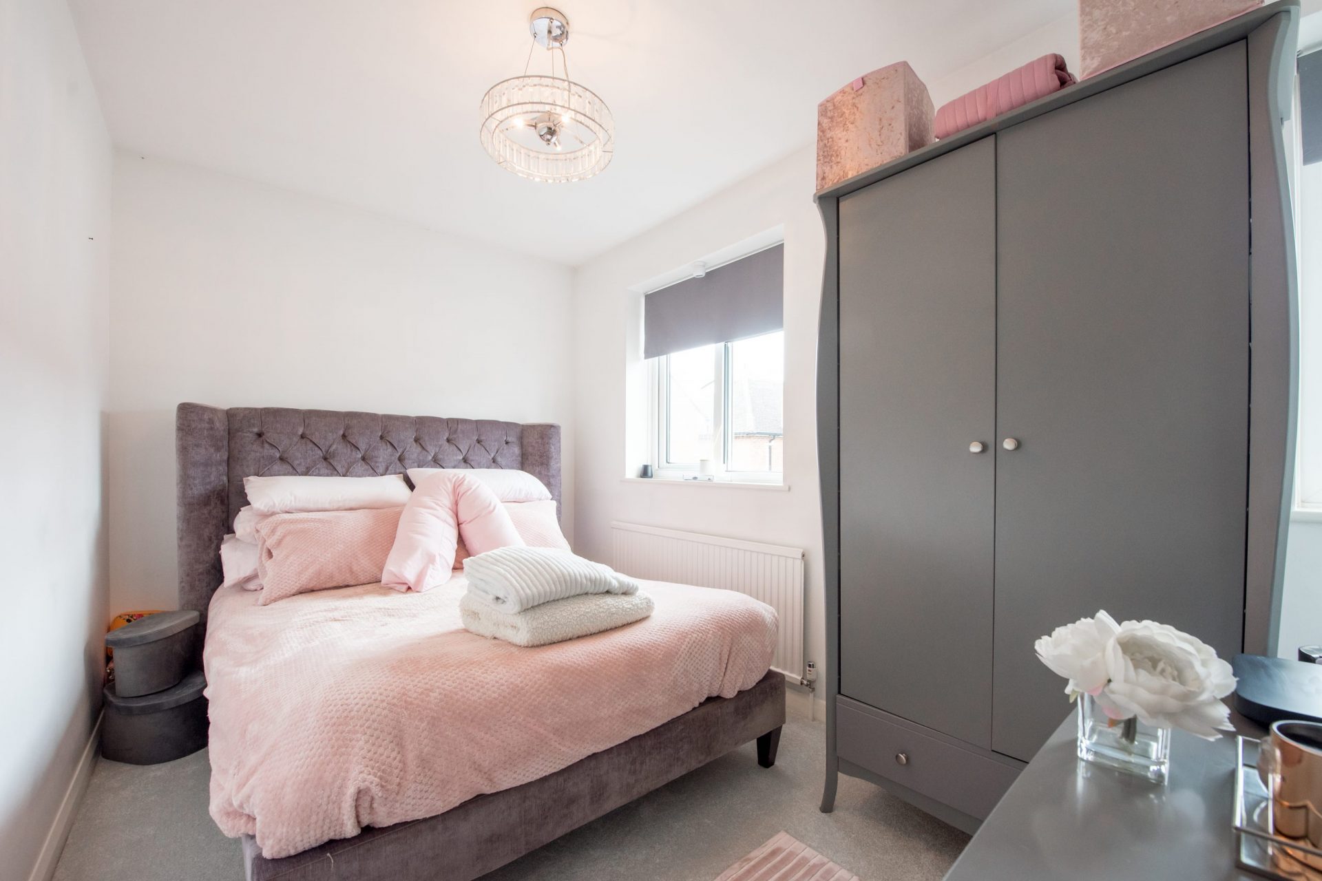 The cheapest pets you can own