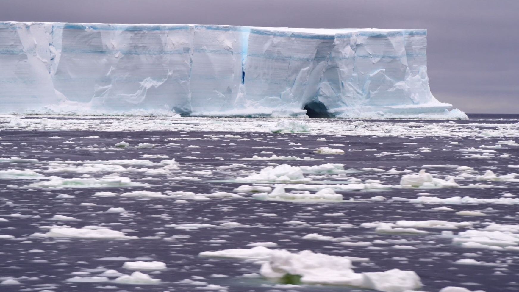 Ледяная стена Антарктиды. Антарктида стена из льда. Льды Антарктиды. Моря Антарктики. Level ice