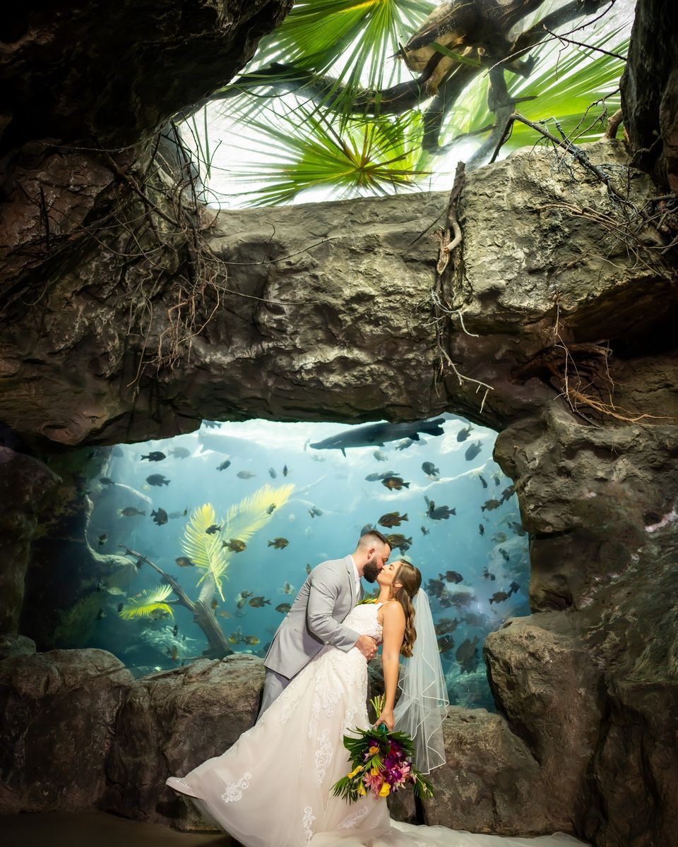 <p>Il suffit de jeter un coup d’œil aux photos des mariages qui y ont été célébrés pour comprendre pourquoi <a href="https://www.flaquarium.org/events/host-an-event/weddings/" rel="noreferrer noopener">l’aquarium de la Floride</a> remporte, depuis trois ans, le prix Couple’s Choice de WeddingWire. Oui, vous avez bien lu. Les couples peuvent réserver l’Aquarium de Tampa pour organiser leur mariage qui aura en toile de fond un récif corallien rempli de bulles, des plongeurs en eau profonde qui divertissent les invités et un atrium offrant une vue complète sur les zones humides de Floride. </p>         <p><a href="https://www.instagram.com/p/CnklEsKOUlk/" rel="noreferrer noopener">Voir une photo sur Instagram</a></p>