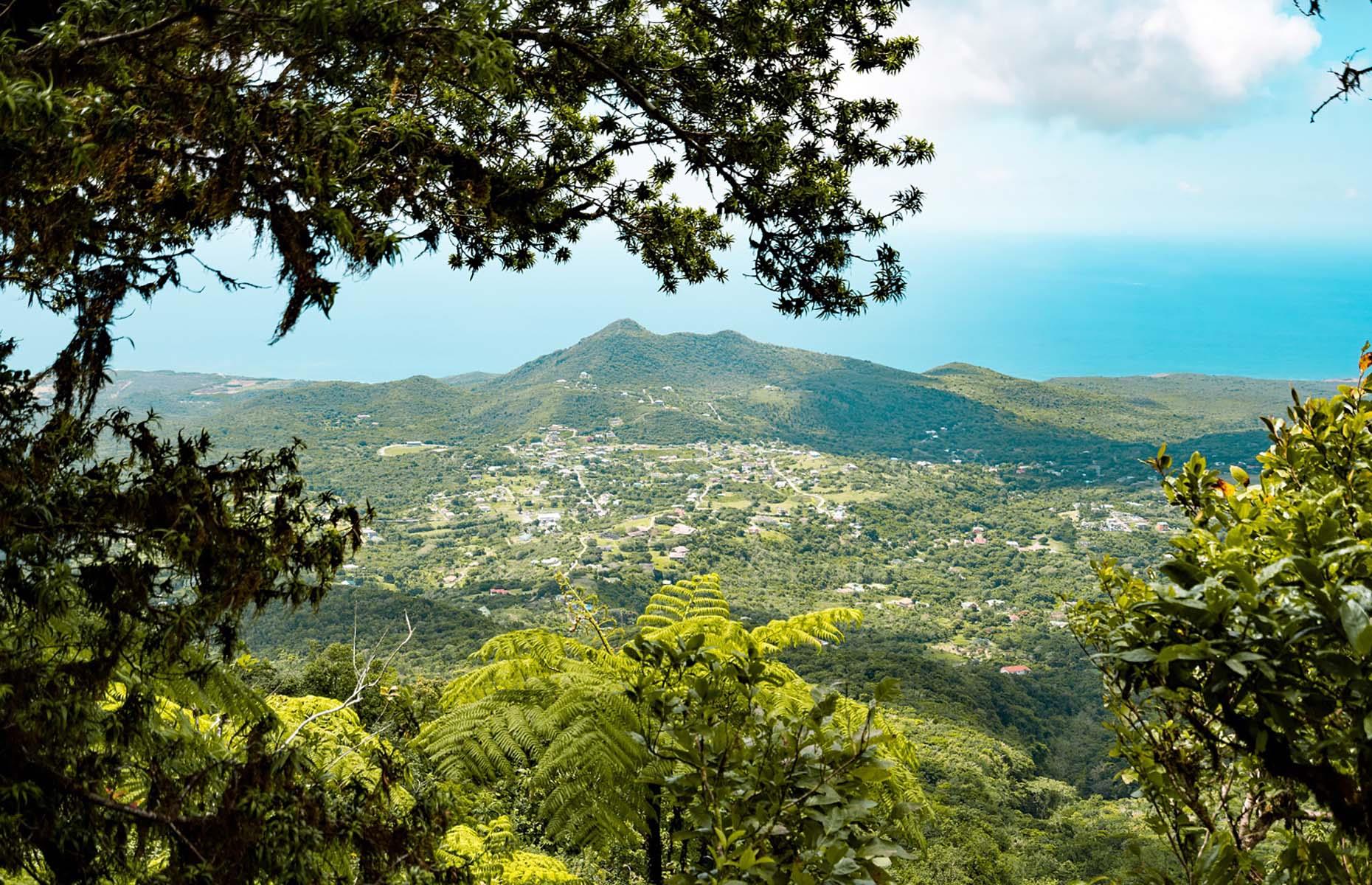 <p>Looming up from the center of the island, it’s impossible to ignore the cloud-shrouded, jungle-clad Mt Nevis – a 3,182-foot (970m) dormant volcano that you can scale with the help of a guide. The hike starts off slow, with a gradual incline and leaf-scattered terrain, but don’t be deceived; sooner rather than later, the going gets tough. The at-times devilishly difficult, near-vertical ascent is filled with rocks and roots to scramble over, with muddy ropes on hand at the trickiest moments to assist with the climb. Persevere through it, though, and you’ll be rewarded with truly remarkable views over the island – and a sense of achievement that can’t be beat.</p>