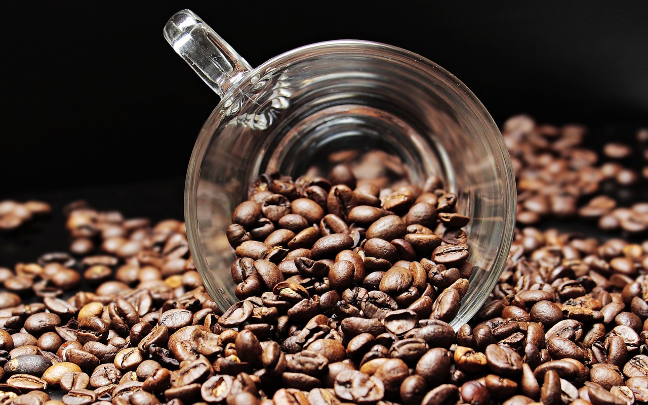 kávová sedlina coby hnojivo i ochrana pokojových rostlin